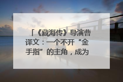 《藏海传》导演曹译文：一个不开“金手指”的主角，成为苍生守护者