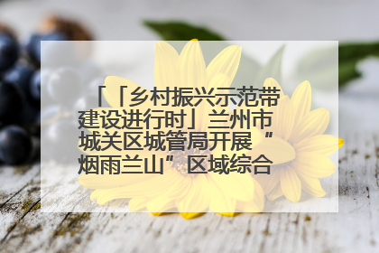 「乡村振兴示范带建设进行时」兰州市城关区城管局开展“烟雨兰山”区域综合整治专项行动