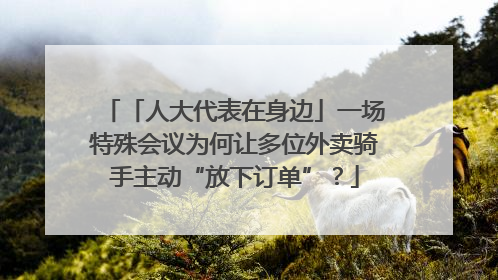 「人大代表在身边」一场特殊会议为何让多位外卖骑手主动“放下订单”？