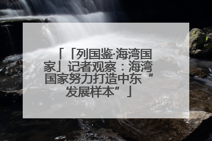 「列国鉴·海湾国家」记者观察：海湾国家努力打造中东“发展样本”