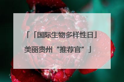 「国际生物多样性日」美丽贵州“推荐官”