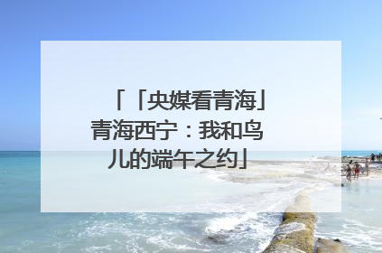 「央媒看青海」青海西宁：我和鸟儿的端午之约