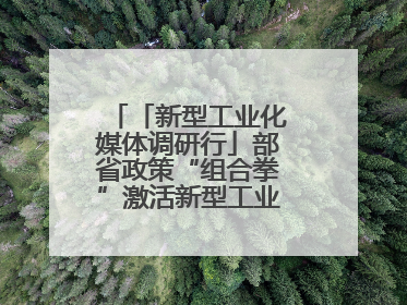「新型工业化媒体调研行」部省政策“组合拳”激活新型工业化华东样板