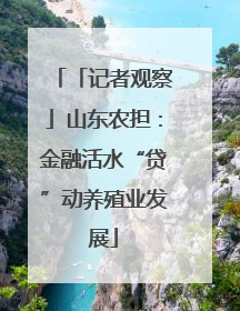 「记者观察」山东农担：金融活水“贷”动养殖业发展