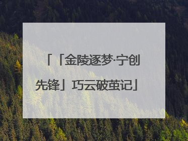 「金陵逐梦·宁创先锋」巧云破茧记