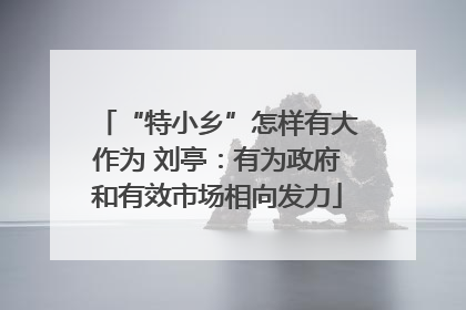 “特小乡”怎样有大作为 刘亭：有为政府和有效市场相向发力