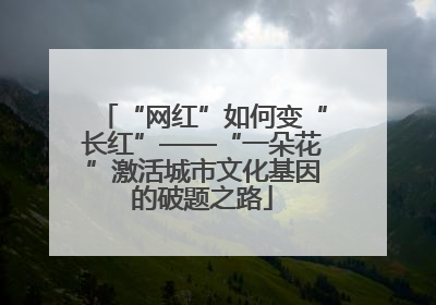 “网红”如何变“长红”——“一朵花”激活城市文化基因的破题之路