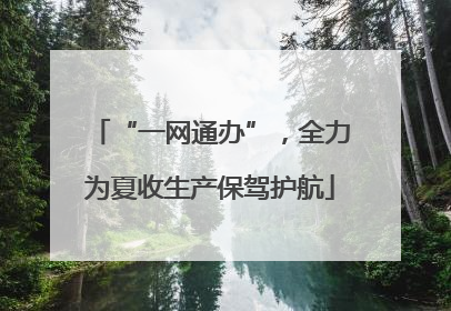 “一网通办”，全力为夏收生产保驾护航