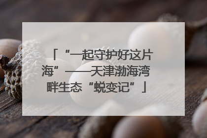“一起守护好这片海”——天津渤海湾畔生态“蜕变记”