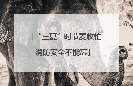 “三夏”时节麦收忙 消防安全不能忘