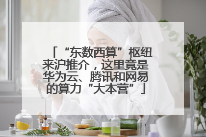 “东数西算”枢纽来沪推介，这里竟是华为云、腾讯和网易的算力“大本营”