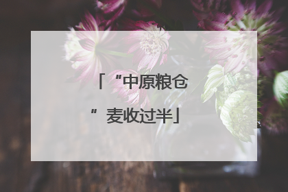 “中原粮仓”麦收过半