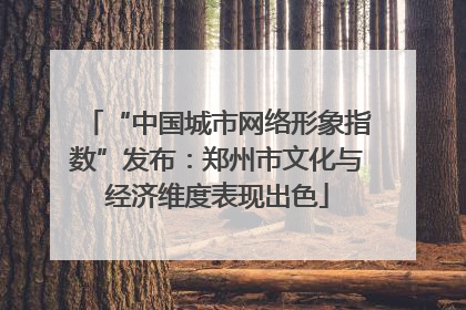 “中国城市网络形象指数”发布：郑州市文化与经济维度表现出色