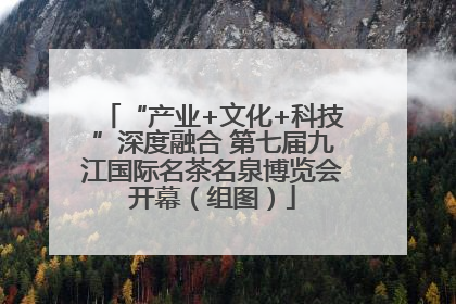 “产业+文化+科技”深度融合 第七届九江国际名茶名泉博览会开幕（组图）