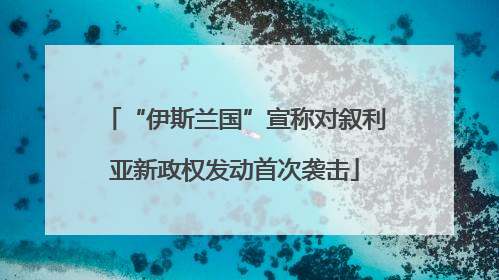 “伊斯兰国”宣称对叙利亚新政权发动首次袭击