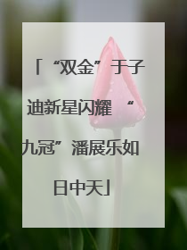 “双金”于子迪新星闪耀 “九冠”潘展乐如日中天