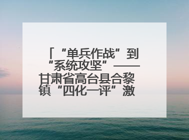 “单兵作战”到“系统攻坚”——甘肃省高台县合黎镇“四化一评”激活农村党员管理新引擎
