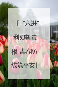 “六进” 利刃斩毒根 青春防线筑平安