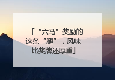 “六马”奖励的这条“腿”，风味比奖牌还厚重