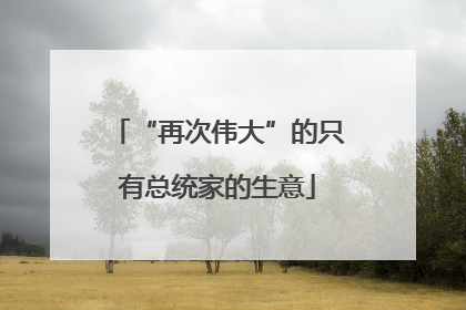 “再次伟大”的只有总统家的生意