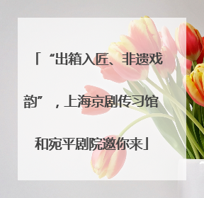 “出箱入匠、非遗戏韵”，上海京剧传习馆和宛平剧院邀你来