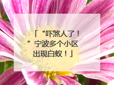 “吓煞人了！”宁波多个小区出现白蚁！