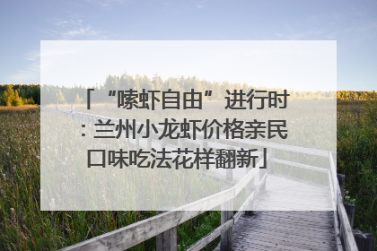 “嗦虾自由”进行时：兰州小龙虾价格亲民口味吃法花样翻新