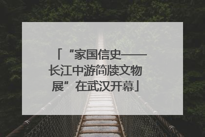 “家国信史——长江中游简牍文物展”在武汉开幕