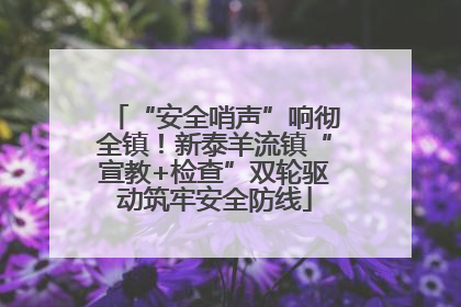 “安全哨声”响彻全镇！新泰羊流镇“宣教+检查”双轮驱动筑牢安全防线