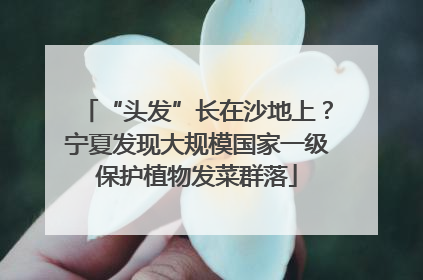 “头发”长在沙地上？宁夏发现大规模国家一级保护植物发菜群落