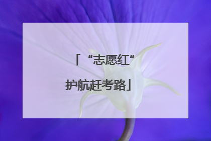 “志愿红”护航赶考路