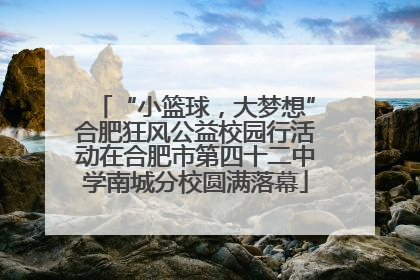 “小篮球，大梦想”合肥狂风公益校园行活动在合肥市第四十二中学南城分校圆满落幕