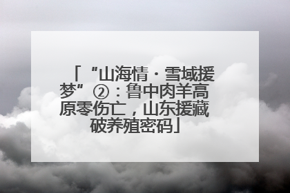 “山海情・雪域援梦”②：鲁中肉羊高原零伤亡，山东援藏破养殖密码