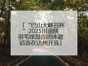 “巴山大峡谷杯”2025川渝陕羽毛球混合团体邀请赛在达州开赛
