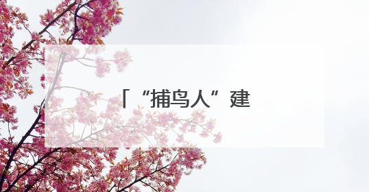 “捕鸟人”建网红观鸟胜地