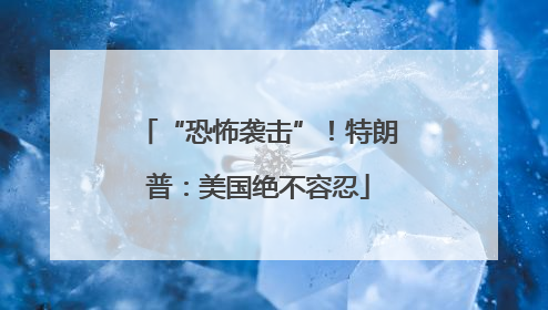 “恐怖袭击”！特朗普：美国绝不容忍