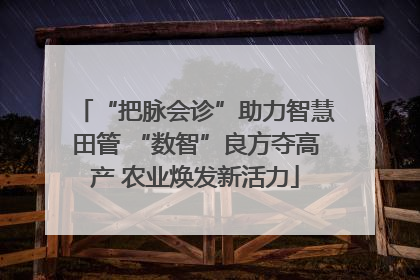 “把脉会诊”助力智慧田管 “数智”良方夺高产 农业焕发新活力
