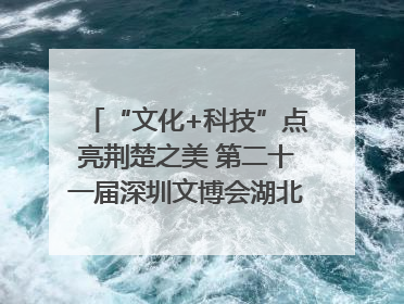 “文化+科技”点亮荆楚之美 第二十一届深圳文博会湖北馆抢“鲜”看