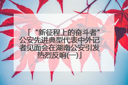 “新征程上的奋斗者”公安先进典型代表中外记者见面会在湖南公安引发热烈反响(一)