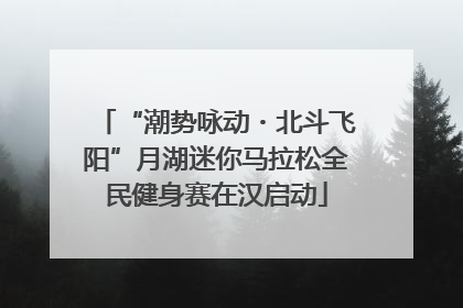 “潮势咏动・北斗飞阳”月湖迷你马拉松全民健身赛在汉启动