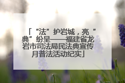 “法”护岩城，亮“典”纷呈——福建省龙岩市司法局民法典宣传月普法活动纪实