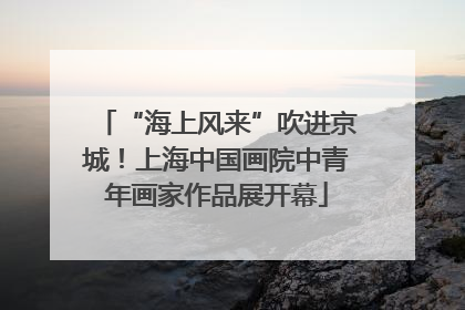“海上风来”吹进京城！上海中国画院中青年画家作品展开幕