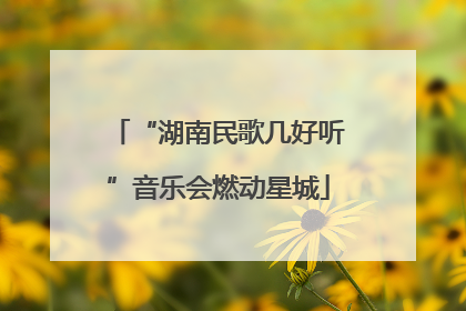 “湖南民歌几好听”音乐会燃动星城