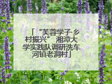 “芙蓉学子·乡村振兴” 湘潭大学实践队调研洗车河镇老洞村