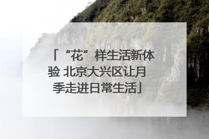 “花”样生活新体验 北京大兴区让月季走进日常生活