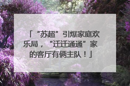“苏超”引爆家庭欢乐局，“迁迁通通”家的客厅有俩主队！