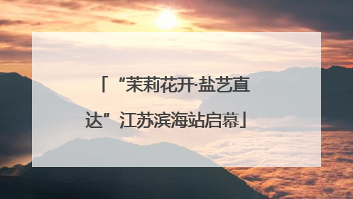 “茉莉花开·盐艺直达”江苏滨海站启幕
