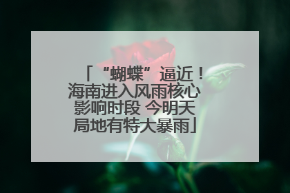 “蝴蝶”逼近！海南进入风雨核心影响时段 今明天局地有特大暴雨
