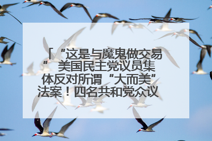 “这是与魔鬼做交易” 美国民主党议员集体反对所谓“大而美”法案！四名共和党众议员投反对票