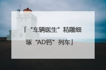 “车辆医生”精雕细琢“AD钙”列车